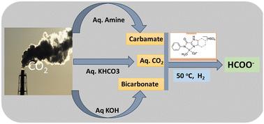 Hydrogenation of CO2 into formate using an iridium catalyst containing proton-responsive imidazoline–amide ligands†