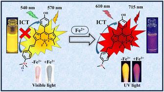 An N-oxide-BODIPY-based ratiometric NIR fluorescent probe for the selective and sensitive detection of ferrous ions in real samples†