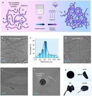 High-performance Y5–SWCNT thermoelectric alloy produced via pre-crystallization filtration†