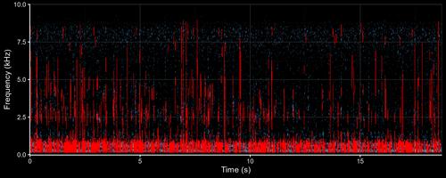 Rthoptera: Standardised insect bioacoustics in R