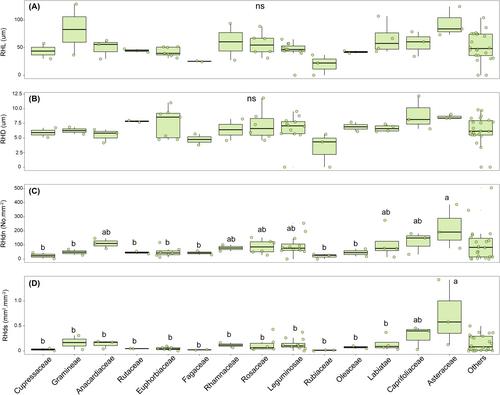 Variation in root hair traits in 75 xerophytic species: Constraints of phylogeny, trait trade-offs and environment