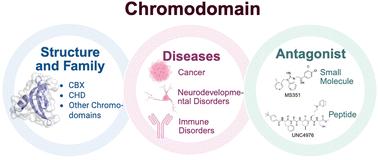Epigenetic reader chromodomain as a potential therapeutic target