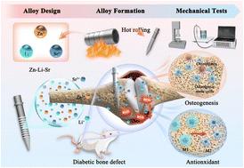 Biodegradable Zn–Li–Sr alloy implants with antioxidant properties for improved bone osseointegration under diabetic conditions†