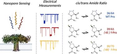 Single-molecule nanopore sensing of proline cis/trans amide isomers†