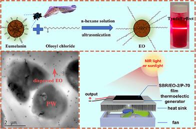 Flexible Photothermal Phase Change Material with High Photothermal Properties Achieved by Promoted Dispersion of Hydrophobically Modified Eumelanin and its Photovoltaic Applications