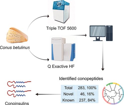 Exploring Diversity of Conopeptides and Revealing Novel Conoinsulins from Conus betulinus by Proteomic Analyses