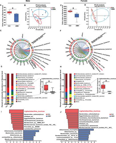 Gut Microbiota Colonization in Early Life Influences Susceptibility to Adulthood Hepatic Lipid Accumulation in High-Fat-Diet-Fed Mice
