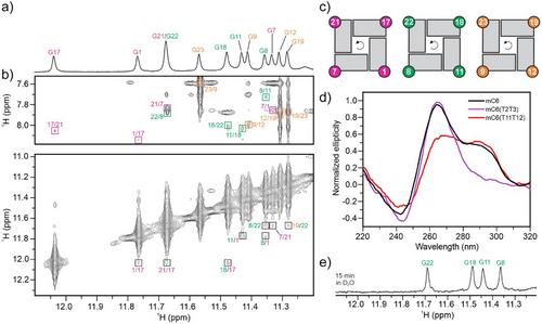 Beyond Structure: Methylation Fine-Tunes Stability and Folding Kinetics of bcl2Mid G-Quadruplex