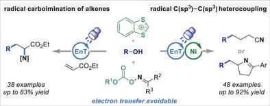 Alcohol Activation by Benzodithiolylium for Deoxygenative Alkylation Driven by Photocatalytic Energy Transfer