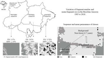 Forest fragmentation in the Brazilian Amazon: Trends and conservation strategies
