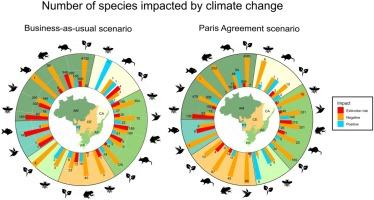 Climate change and biodiversity in Brazil: What we know, what we don’t, and Paris Agreement’s risk reduction potential