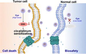 Cysteine-responsive, cyano-functionalized acenaphthopyrazine derivative for tumor microenvironment modulation-based chemotherapy sensitization and side effect reduction†