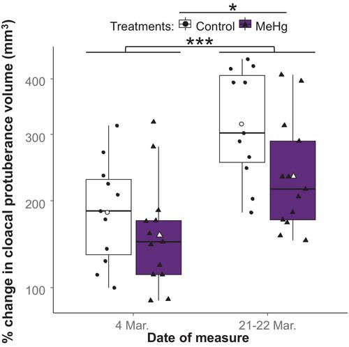 Effects of wintering under methylmercury exposure on spring reproductive onset in song sparrows (Melospiza melodia)