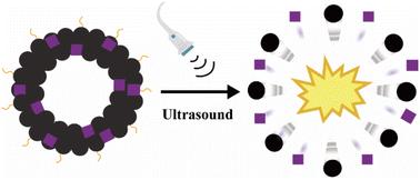 Fe3O4/MnCO3 microbubbles for efficient elimination of bacterial biofilms by mechanical/sonodynamic effects under ultrasound irradiation and magnetic field targeting†