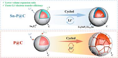 An in situ derived alloy phase stabilizes the phosphorus/carbon interface for high-performance lithium-ion battery anodes†