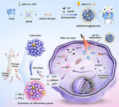 NIR-II D–A–D-Type Small-Molecule Coordination with Carboxylatopillar[5]Arene: a Multifunctional Phototheranostic for Low-Temperature NIR-II Photothermal/Platinum-Based/Chemodynamic Combination Cancer Immunotherapy