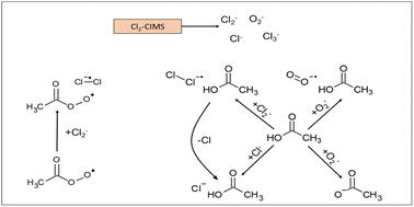 Cl2− chemical ionization mass spectrometry (Cl2-CIMS) for the measurement of acyl peroxy radicals†