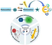 Recent advances in nitroreductase-activatable small molecule-based photosensitizers for precise cancer therapy