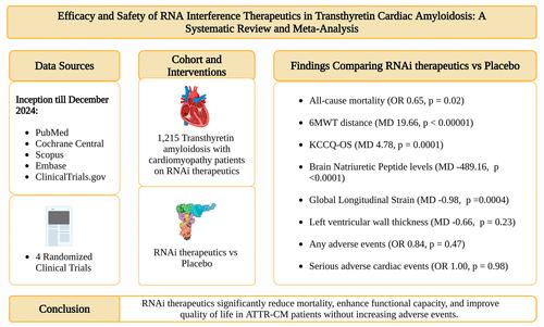 Efficacy and safety of RNA interference therapeutics in transthyretin cardiac amyloidosis: A systematic review and meta-analysis