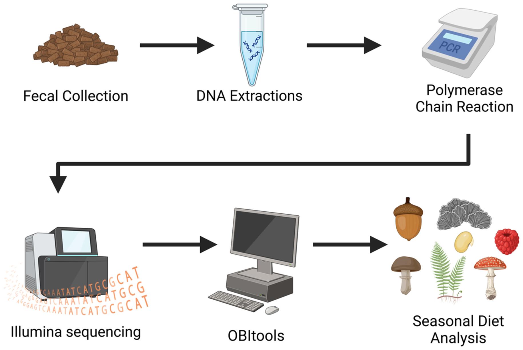 Metabarcoding reveals seasonal shifts in the Allegheny woodrat's generalist diet