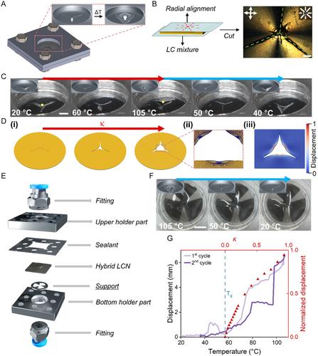 Regulating Airflow Using Hybrid LCN for Soft Pneumatic Circuits