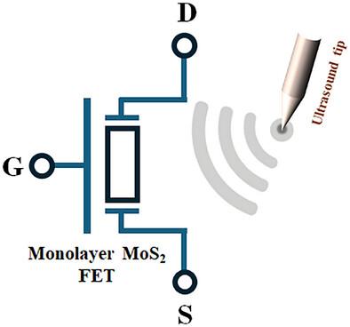 Ultrasound Tip-Assisted Piezotronic Transduction in Monolayer MoS2