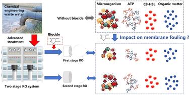Dynamic mechanisms of biocide-mediated biofouling control in two-stage RO systems in wastewater reclamation: efficacy and microbial adaptation†