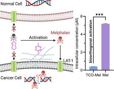 On-Membrane Supramolecular Assemblies Serving as Bioorthogonal Gating for Melphalan
