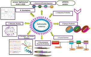 Designing a multi-epitope vaccine targeting UPF0721 of meningitis-causing Salmonella enterica serovar Typhimurium strain L-4126 by utilizing immuno-informatics and in silico approaches