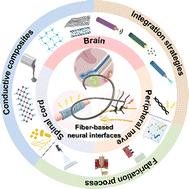 Emerging fiber-based neural interfaces with conductive composites
