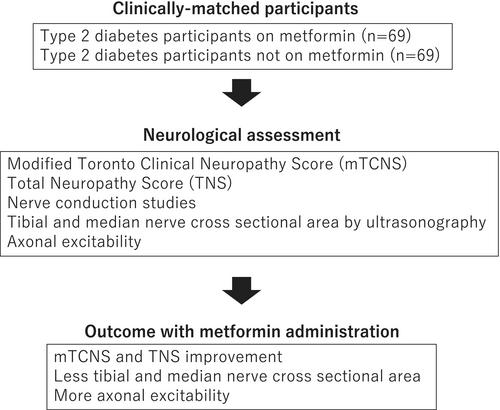 Questioning the pros and cons of metformin treatment in diabetic peripheral neuropathy