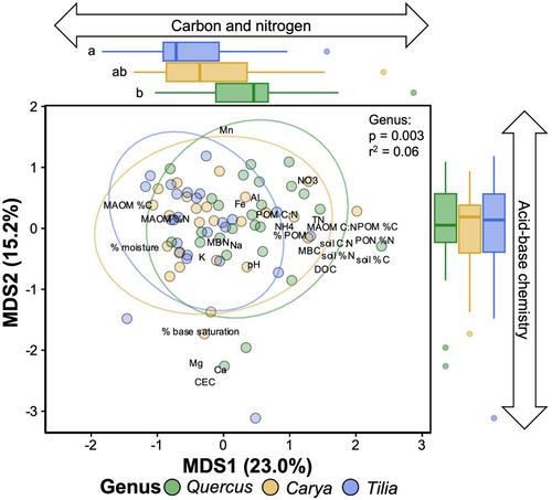 Functional traits of ectomycorrhizal trees influence surrounding soil organic matter properties