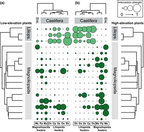 Climate-induced upslope shift of orthopteran herbivores imposes greater herbivory through trait complementarity
