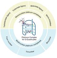 A state-of-the-art view: G-quadruplex-targeting for platinum complexes’ treatment of tumors