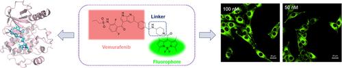 Design, Synthesis, and Evaluation of Boron Dipyrromethene-Based Fluorescent Probes Targeting BRAF for Melanoma Diagnosis