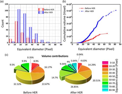Investigating Bubble Formation and Evolution in Vanadium Redox Flow Batteries via Synchrotron X-Ray Imaging