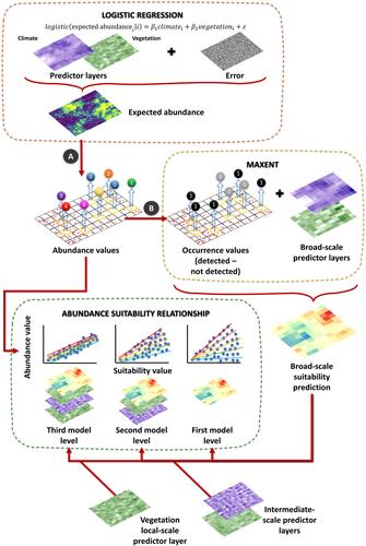 Disentangling the effect of the spatial scale and species spatial pattern on the abundance–suitability relationship