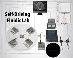A self-driving fluidic lab for data-driven synthesis of lead-free perovskite nanocrystals†