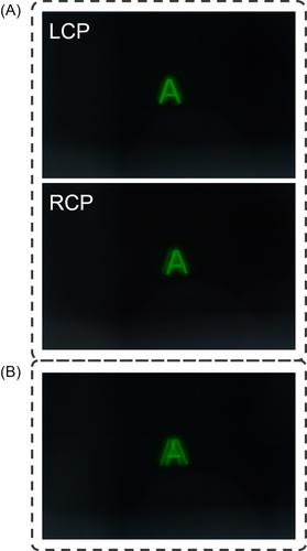 Fast-switchable polarization-dependent bifocal lenses for AR displays