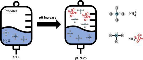 Ammonia Dynamics in the Human Body: Insights in Biomedical Sensing Technologies