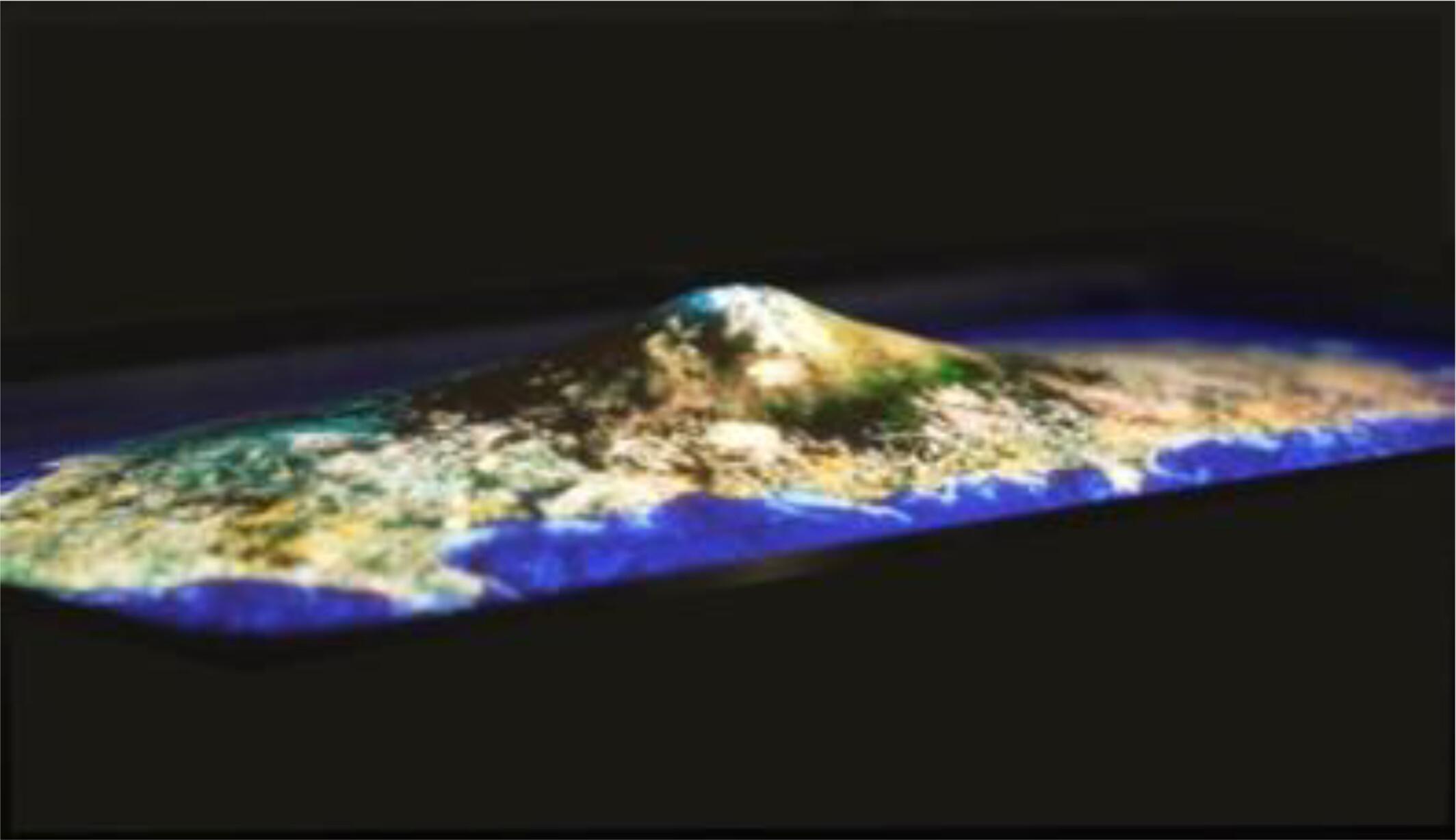 The first 200PPI stretchable micro-LED display with serpentine-shaped bridge designs