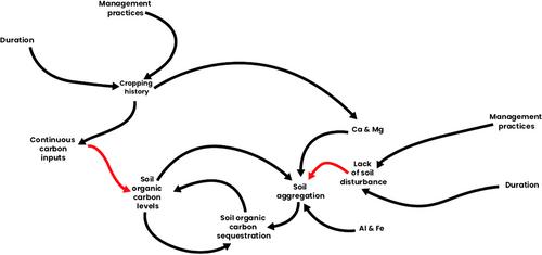 Cropping History and Cropland Abandonment Period Influenced Levels of Soil Organic Carbon, Distribution of Aggregates and Aggregate Associated Carbon