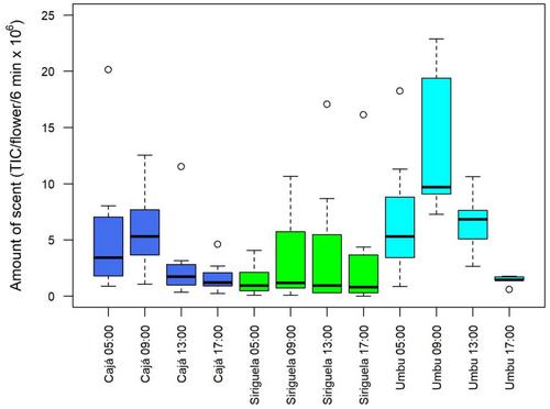 Wasps Beyond Bees: Crop Species of Spondias (Anacardiaceae) Vary in Floral Scent and Attract Different Pollinator Taxa