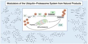 Modulators of the ubiquitin–proteasome system from natural products: chemical structures and their potential for drug discovery
