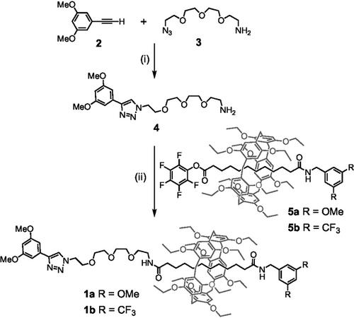 pH-Controlled Gliding Motions in Pillar[5]arene-Containing Molecular Shuttles