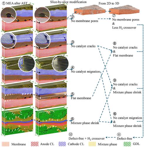 Decoupling Membrane Electrode Assembly Materials Complexity from Fuel Cell Performance through Image-Based Multiphase and Multiphysics Modelling