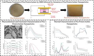 Dielectric barrier discharge cold plasma-modified pea protein nanoparticles: enhancing functional and thermal properties for food and biopolymer applications