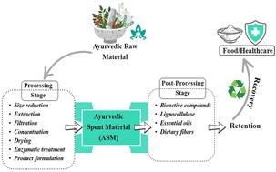 Status and prospects of valorisation of ayurvedic spent materials: focus on Dashamoola by-products for food applications