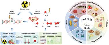 Electron beam irradiation in food processing: current applications and strategies for commercial scale implementation