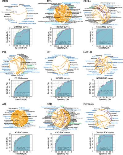 Causal Analysis Between Gut Microbes, Aging Indicator, and Age-Related Disease, Involving the Discovery and Validation of Biomarkers